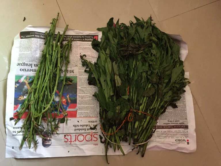 While picking the leaves