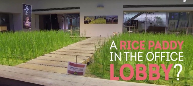 Screen Shot 2017-09-27 at 1.53.44 PM